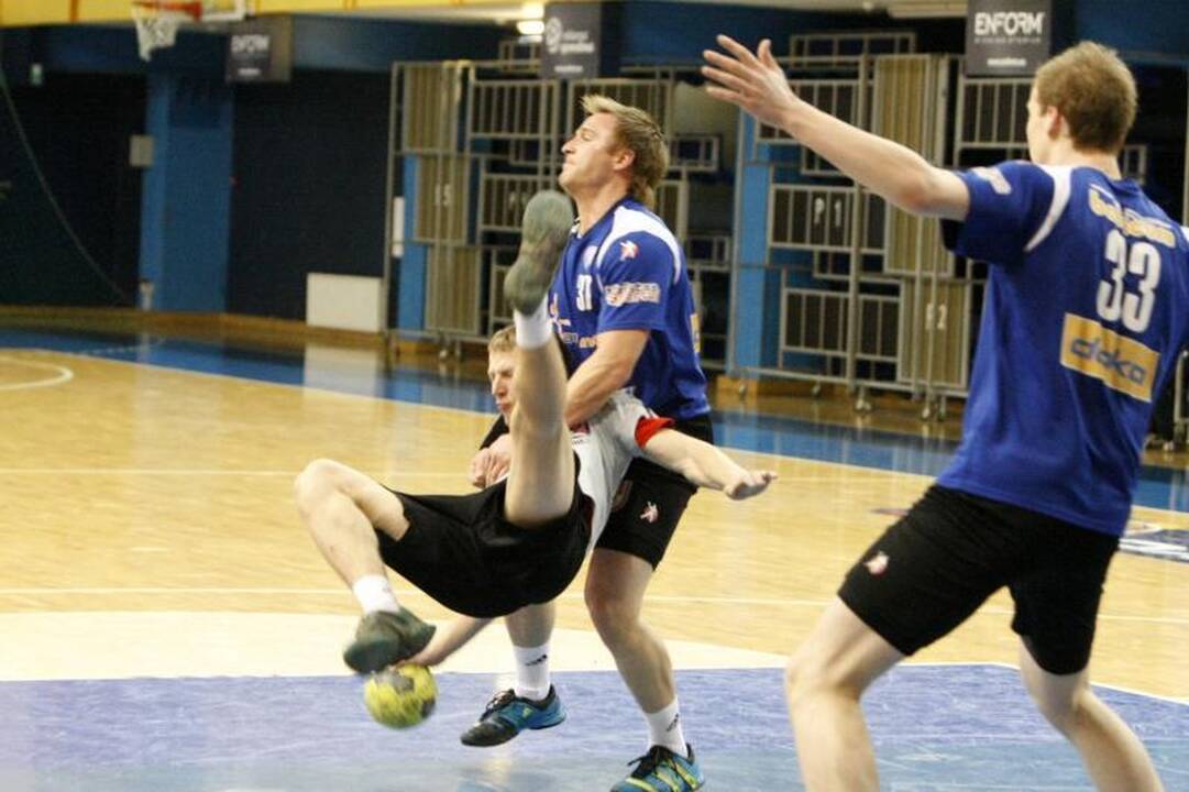 Dvyliktoji „Žemaitijos dragūno“ rankininkų pergalė