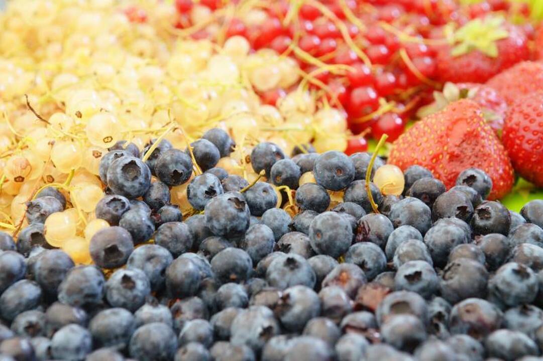 Flavonoidai gelbėja vyrus nuo Parkinsono ligos