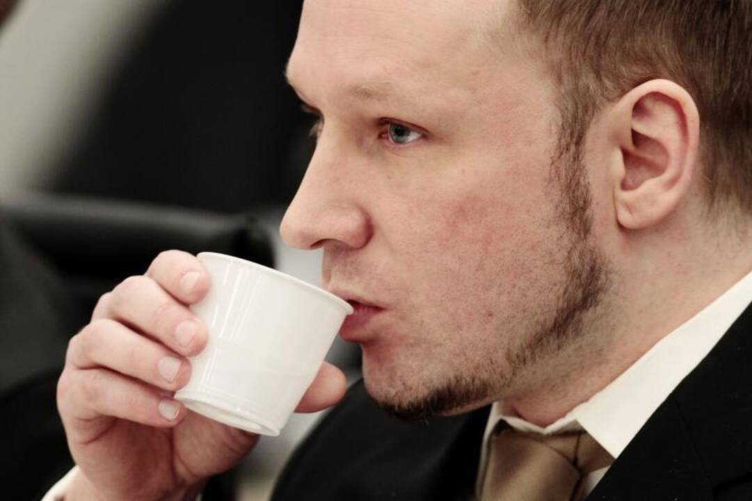 A.B.Breivikas: nuo „kaimynų berniuko“ iki masinio žudiko