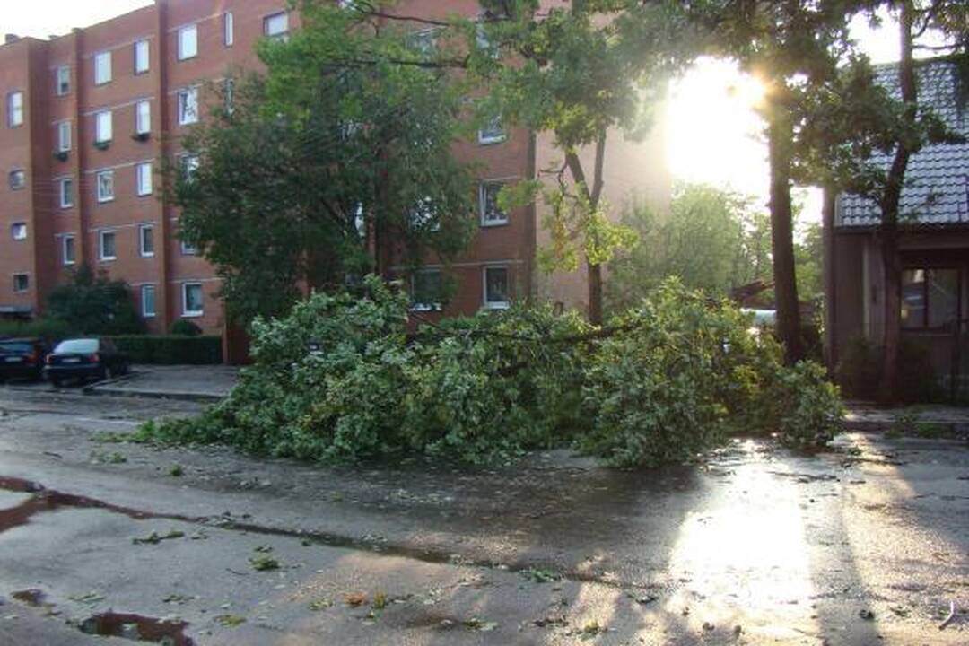Sekmadienio naktį miestą nusiaubė audra (papildyta)