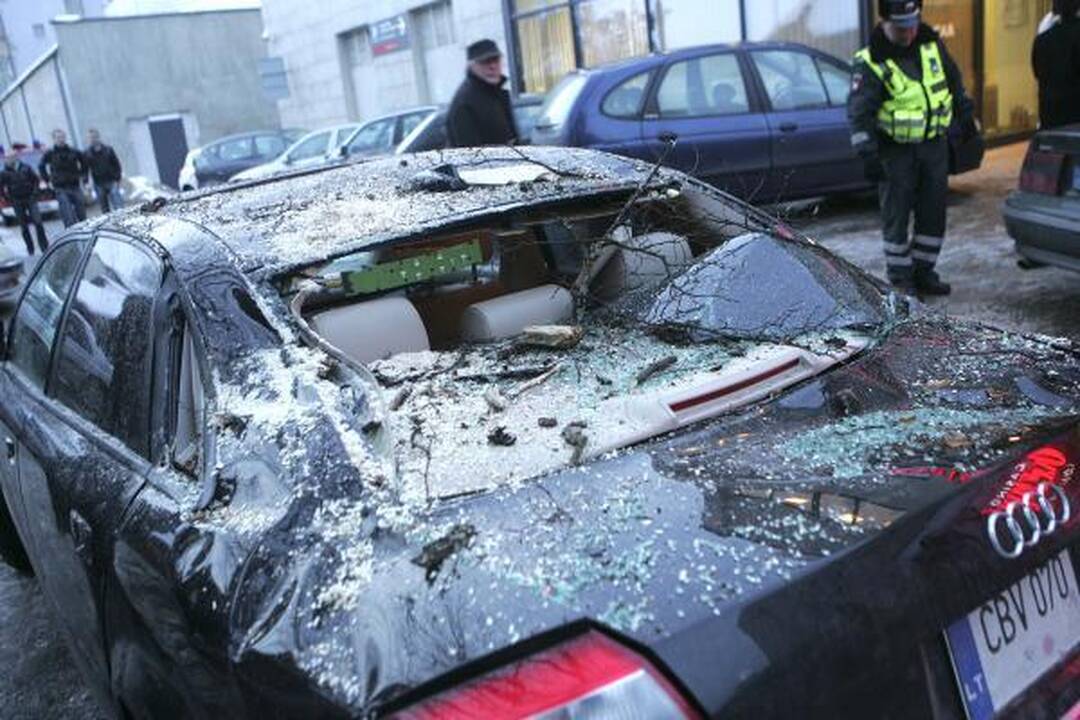 Kauno valdžia purtosi atsakomybės už mašinas suknežinusį medį