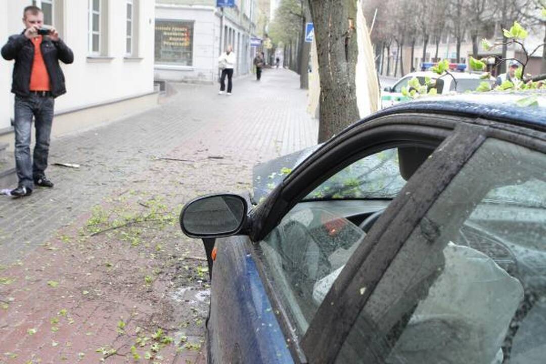 Automobilis rėžėsi į medį