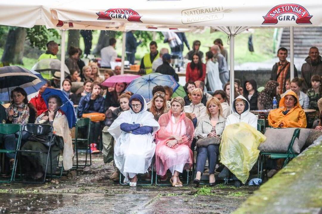 Liūtis nenuplovė festivalio   „Be stogo“