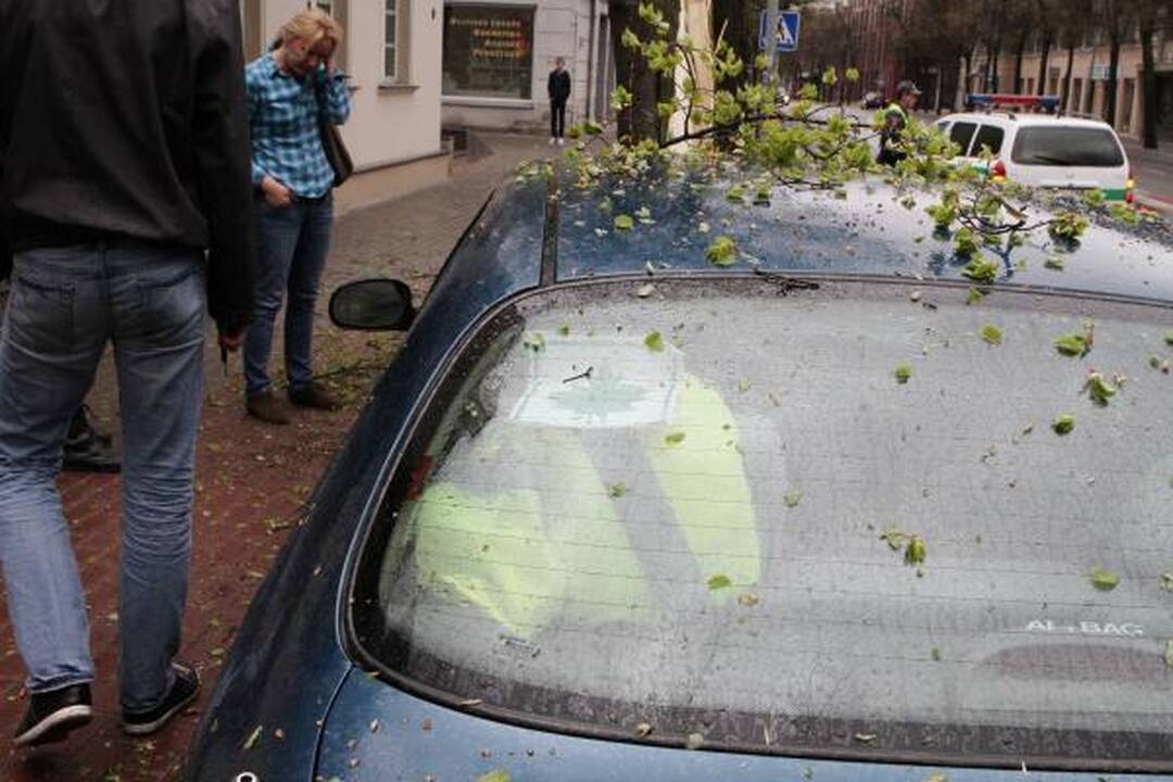 Automobilis rėžėsi į medį