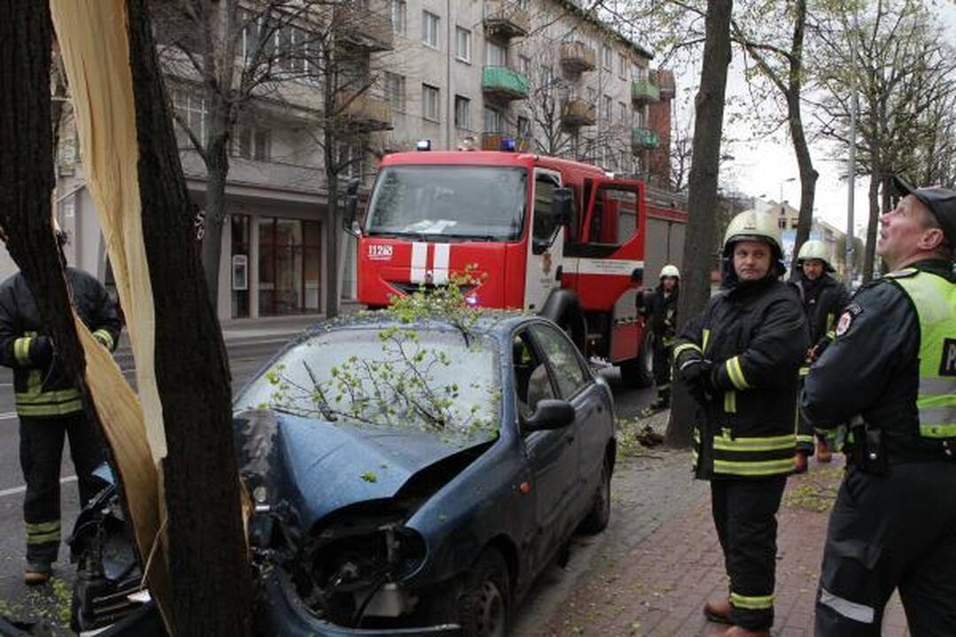 Automobilis rėžėsi į medį