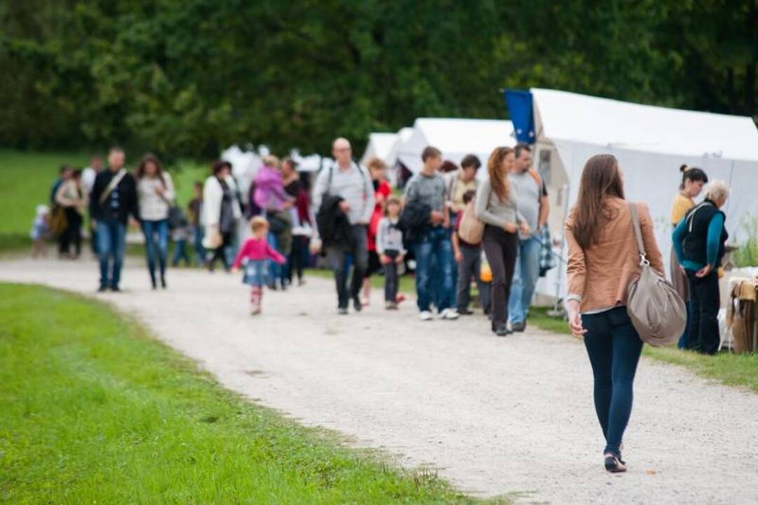 Politikai nepraleido progos pasireklamuoti per Žolinę
