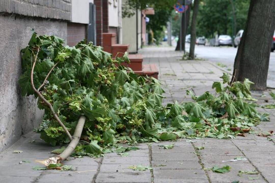 Audra pajūryje vertė medžius ir plovė pliažus (papildyta)