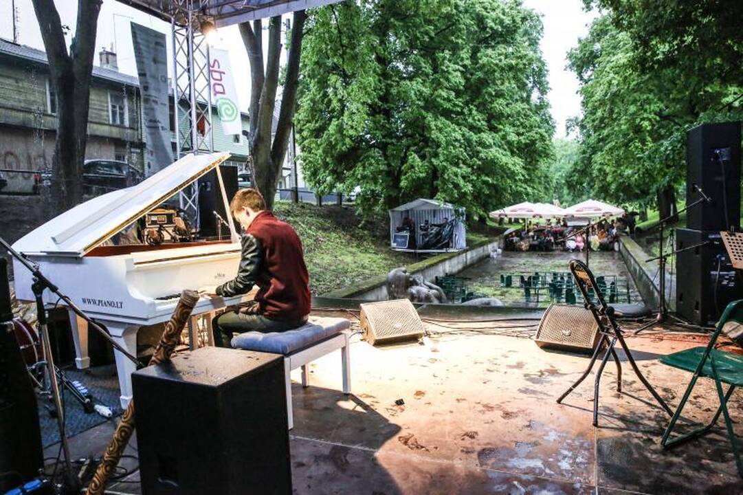 Liūtis nenuplovė festivalio   „Be stogo“