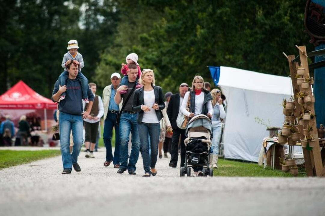 Politikai nepraleido progos pasireklamuoti per Žolinę