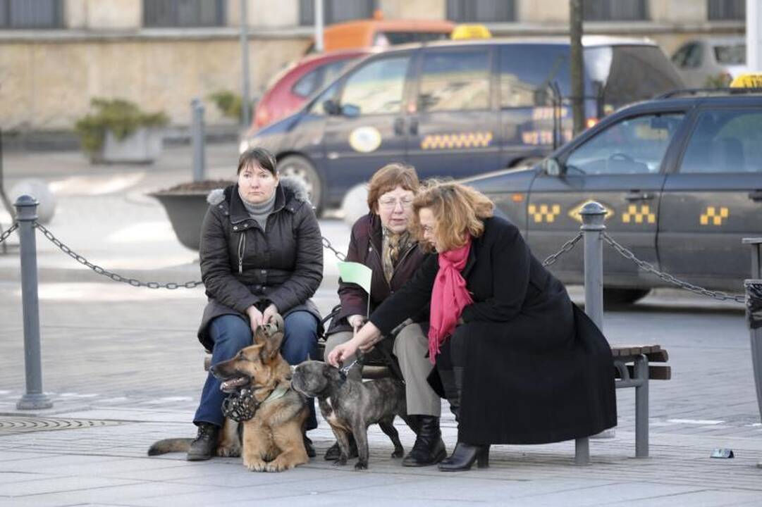 Sostinės centre vyko Žemės dienai skirti renginiai   
