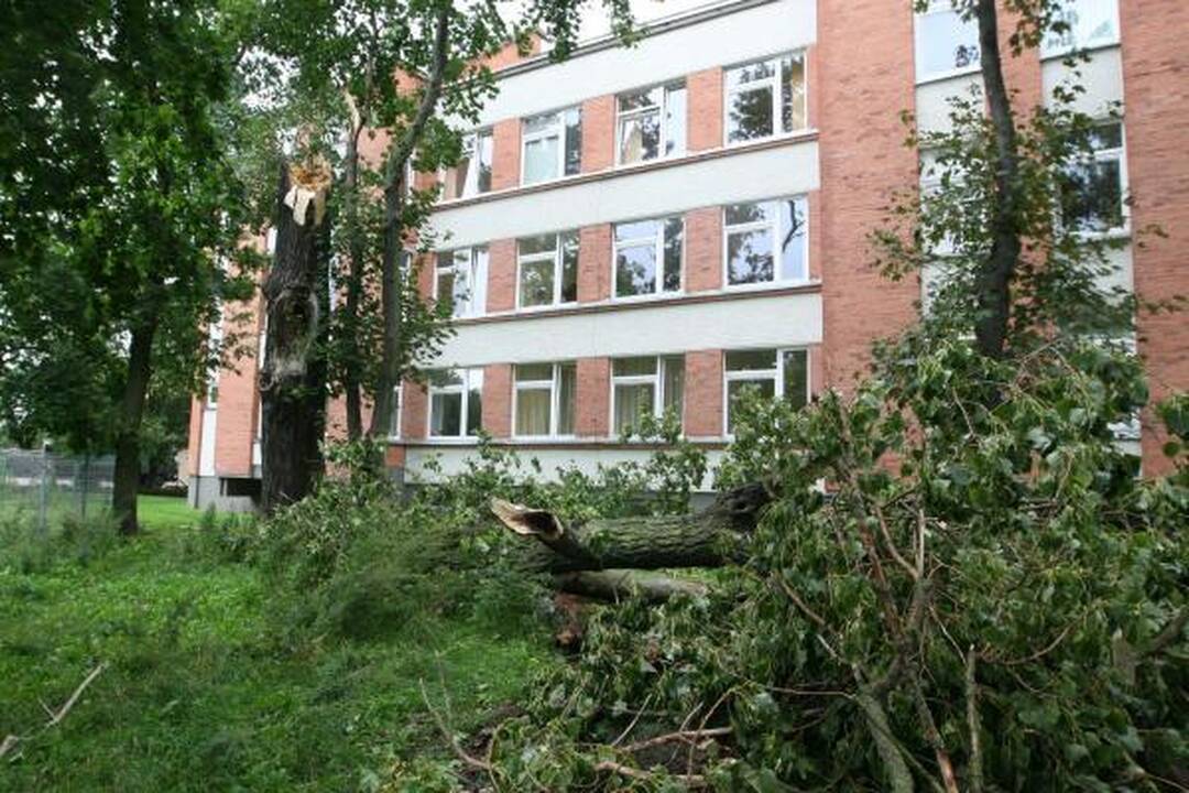 Audra pajūryje vertė medžius ir plovė pliažus (papildyta)