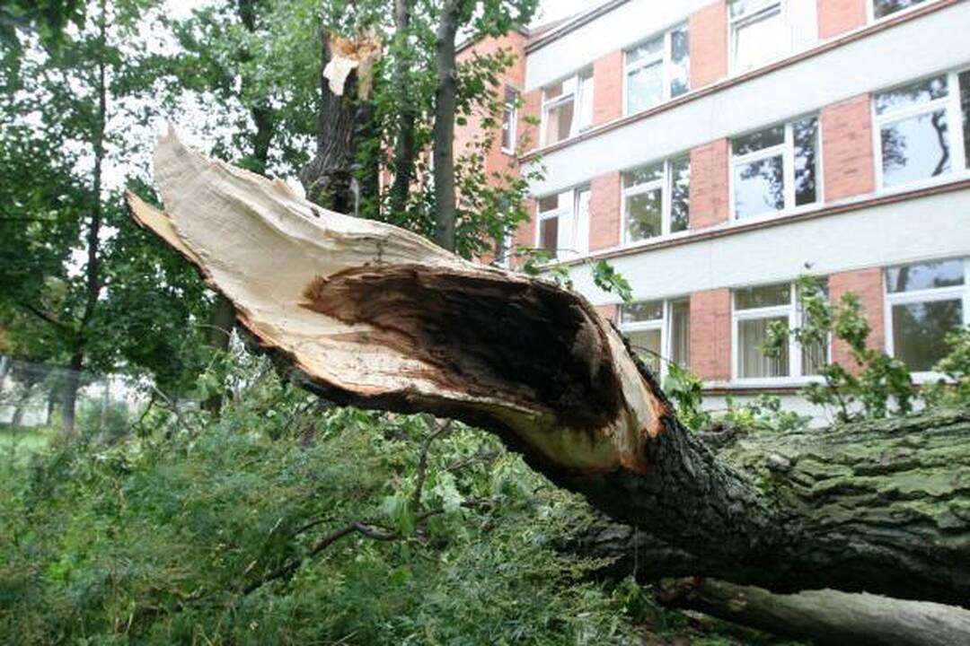 Audra pajūryje vertė medžius ir plovė pliažus (papildyta)