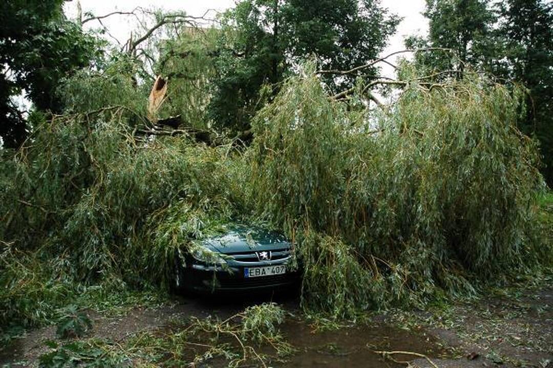 Škvalas Kauno rajone nuniokojo miškus