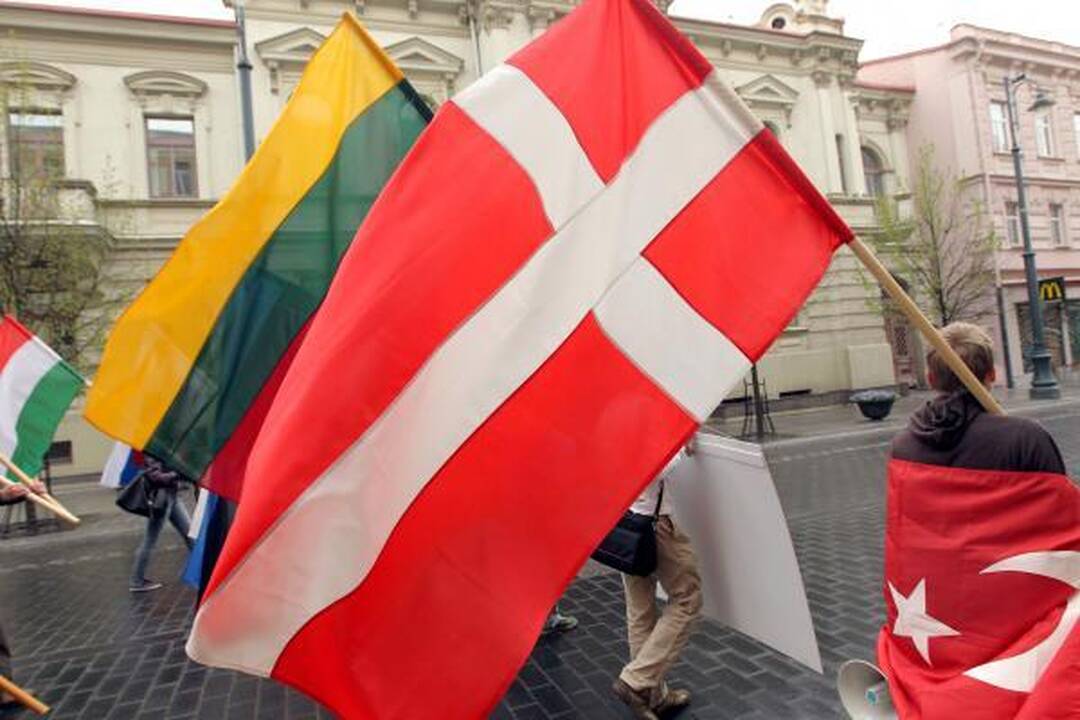 Įstojimo į ES dieną sostinėje eisena minėjo tik jaunieji liberalai