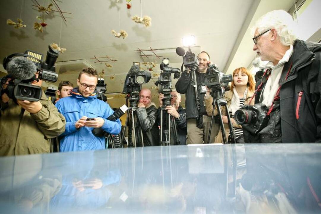 A. Butkevičius: turėtume gauti apie 40 mandatų
