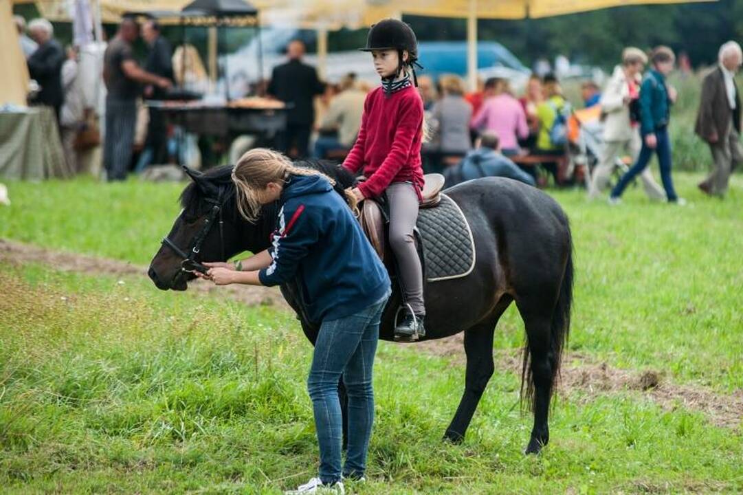 Politikai nepraleido progos pasireklamuoti per Žolinę