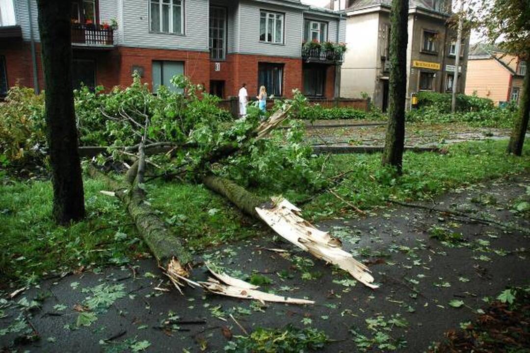 Škvalas Kauno rajone nuniokojo miškus