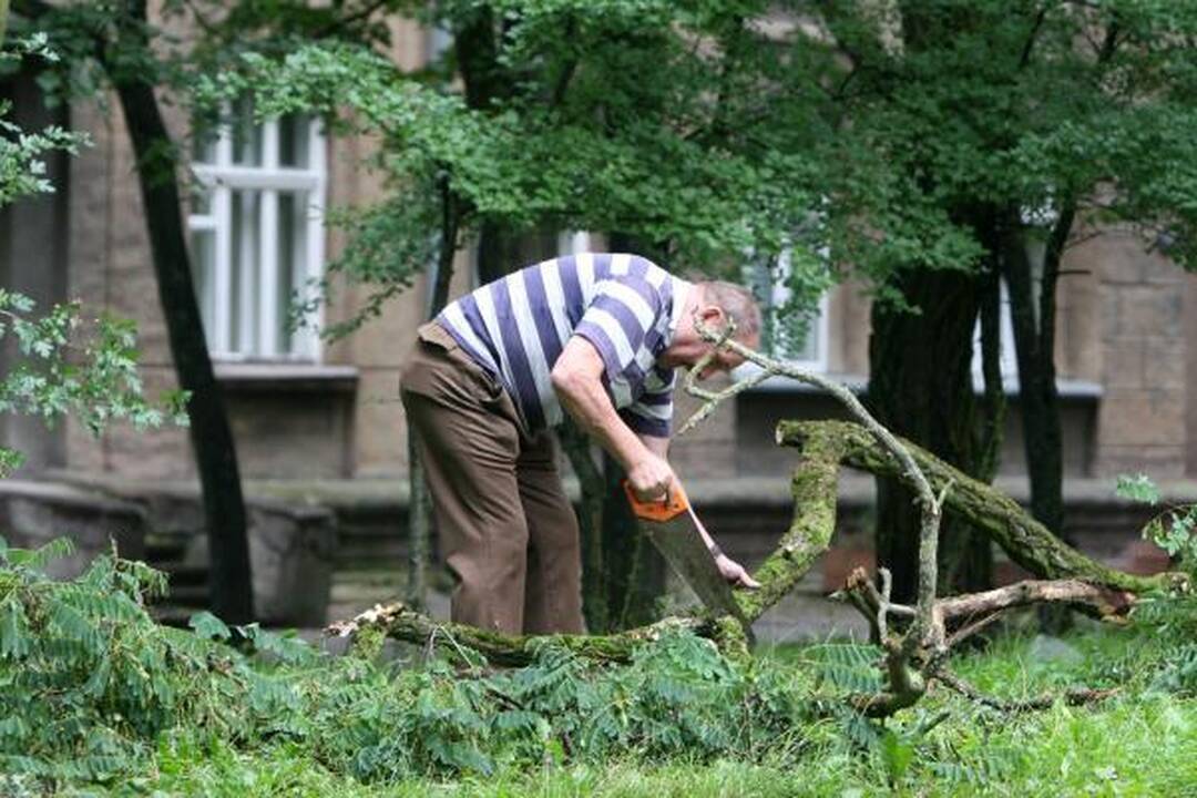 Audra pajūryje vertė medžius ir plovė pliažus (papildyta)