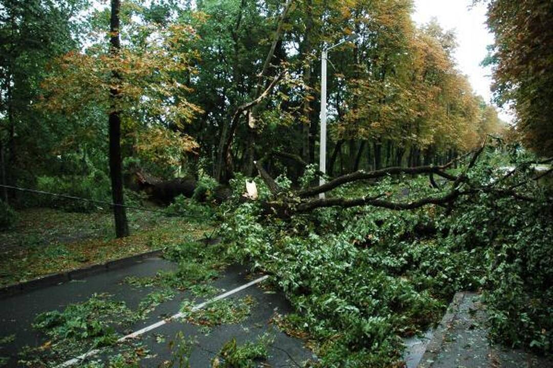 Škvalas Kauno rajone nuniokojo miškus