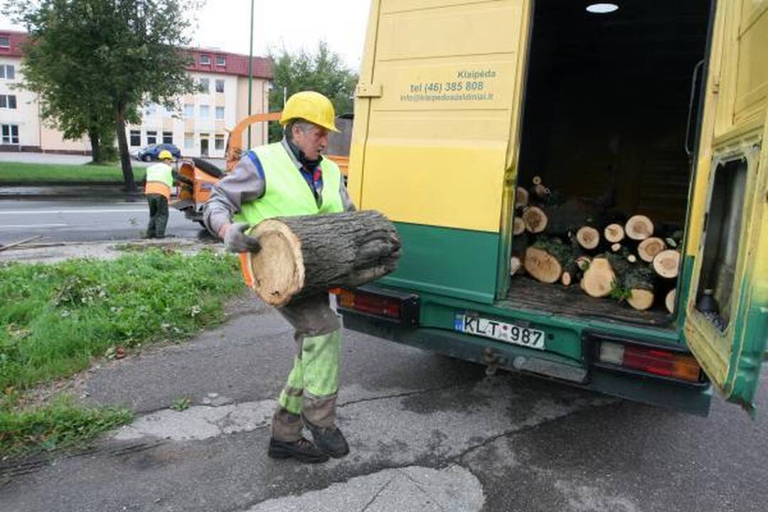 Audra pajūryje vertė medžius ir plovė pliažus (papildyta)