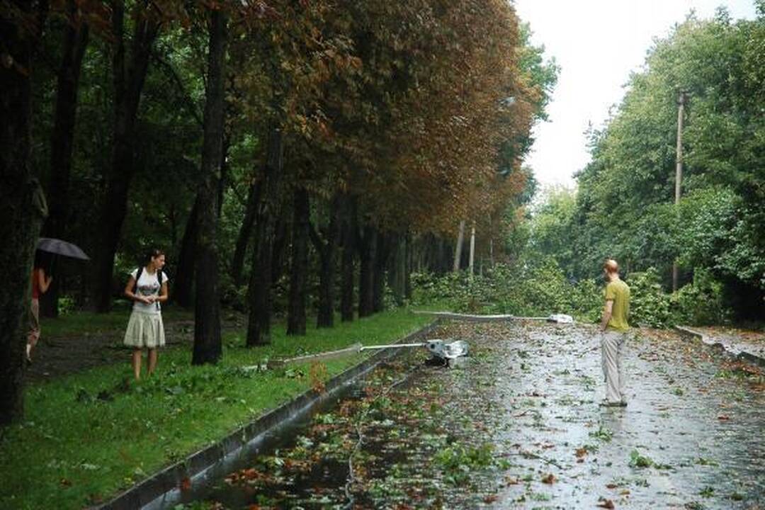 Škvalas Kauno rajone nuniokojo miškus