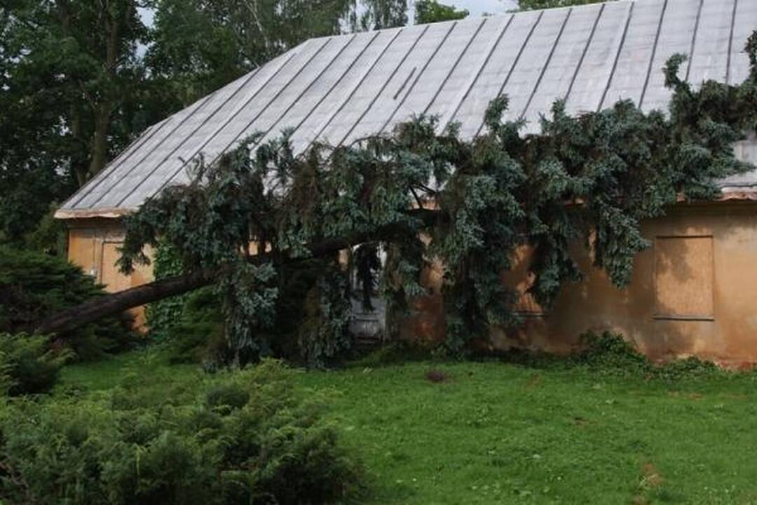 Škvalas Kauno rajone nuniokojo miškus