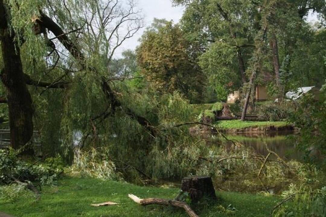 Škvalas Kauno rajone nuniokojo miškus