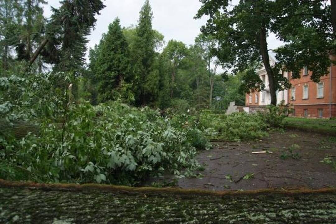 Škvalas Kauno rajone nuniokojo miškus