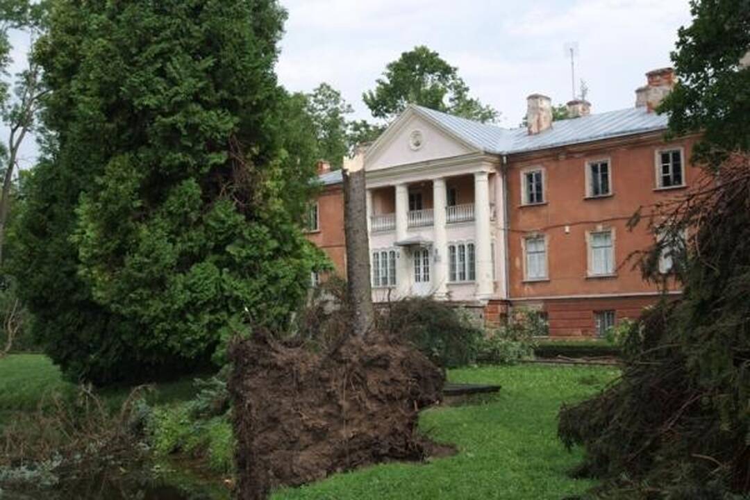Škvalas Kauno rajone nuniokojo miškus