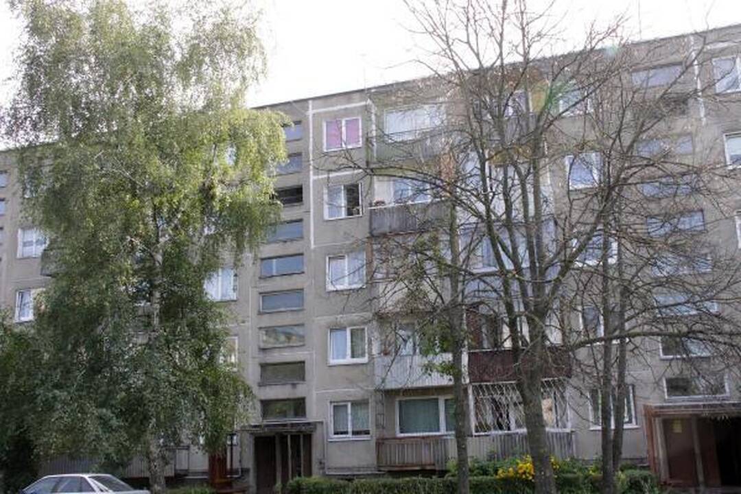Škvalo pamokos: kaip pasodinti medį, kad jo nereikėtų pjauti