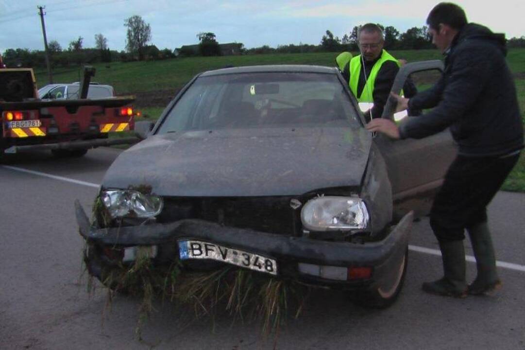 Girtų brolių pasivažinėjimas: eidamas iš laukų žuvo ūkininkas