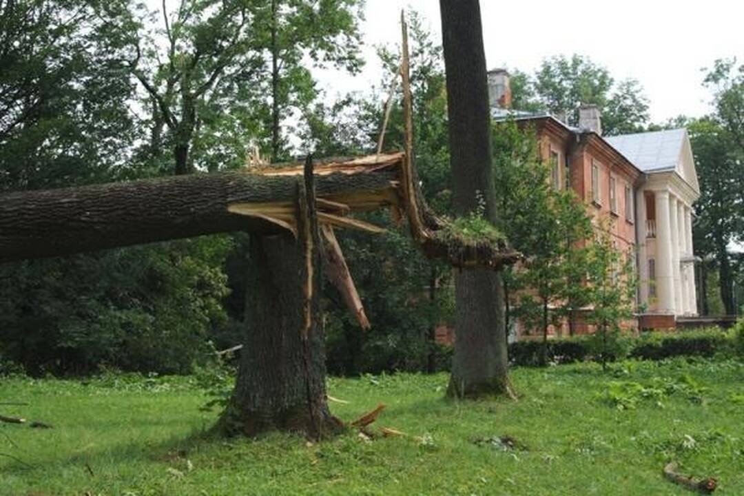 Škvalas Kauno rajone nuniokojo miškus