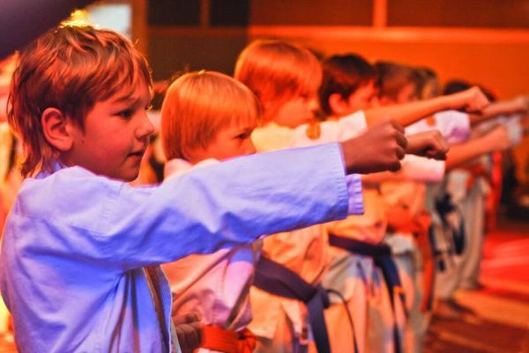 „Shodan“ apdovanojo savo sportininkus