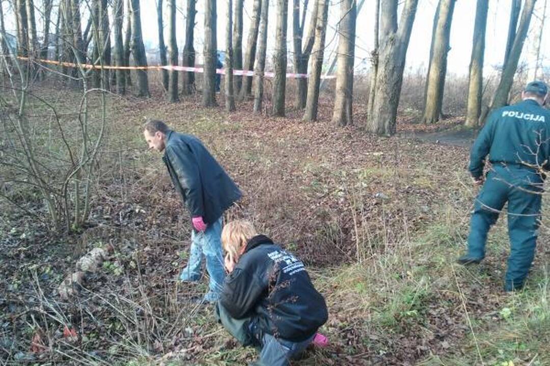 Policija: kol kas nežinome, kas nudyrė šunims kailius