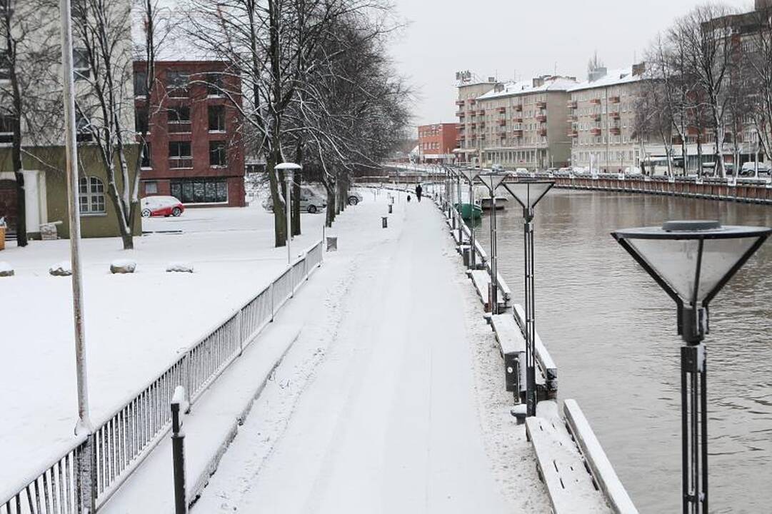 Klaipėdą padengė pirmasis žiemos sniegas 