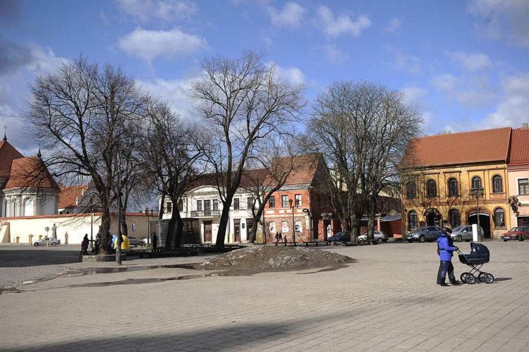Rotušės aikštėje grėsmę keliantys medžiai neišvengs pjūklo