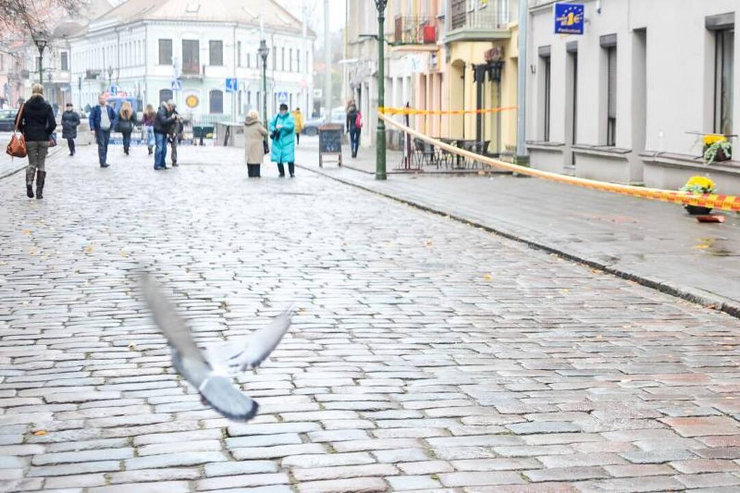 Vilniaus gatvėje nuo stogo kritusi čerpė prakirto paauglės galvą