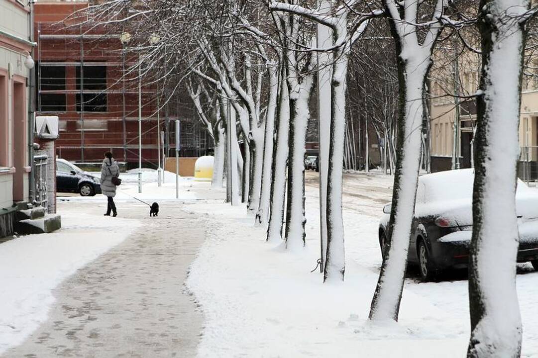 Klaipėdą padengė pirmasis žiemos sniegas 