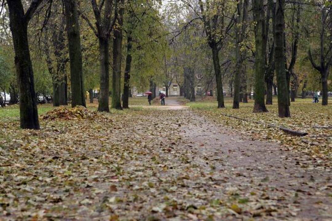Lukiškių aikštė: kiuženų kalnai ir purvynė sostinės centre