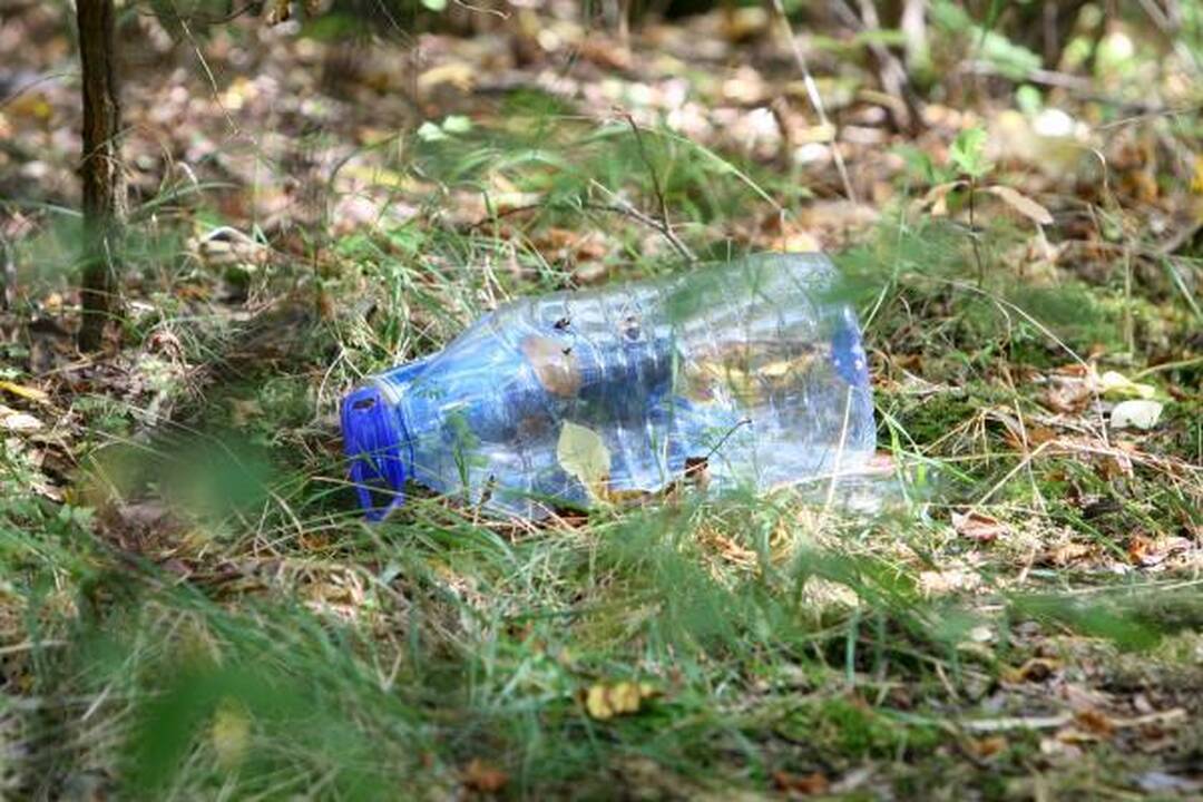 Pajūryje šiukšles rinko apie 600 savanorių