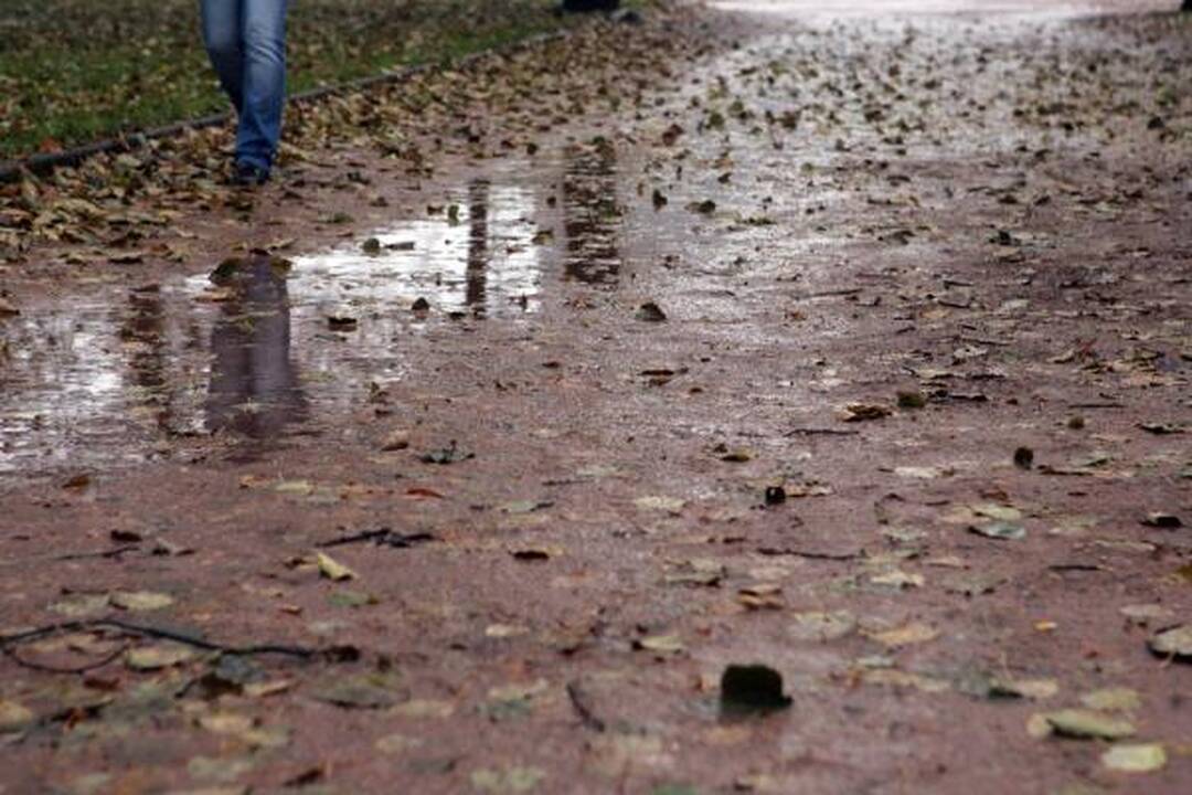 Lukiškių aikštė: kiuženų kalnai ir purvynė sostinės centre