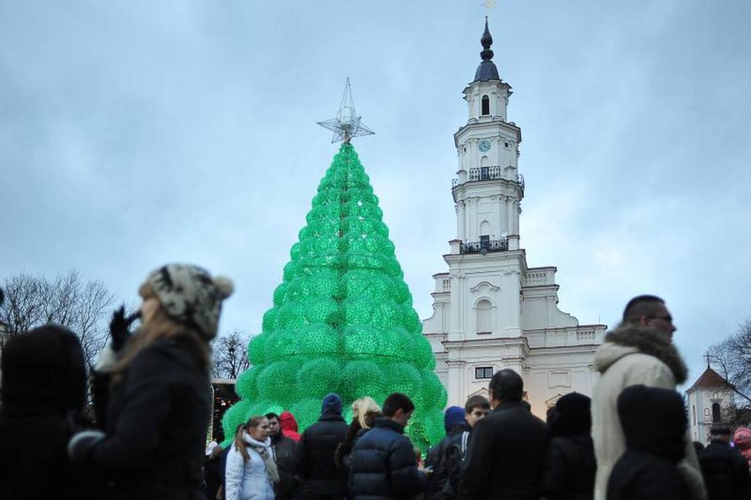 Kaune sužėrėjo smaragdinė Kalėdų eglė   