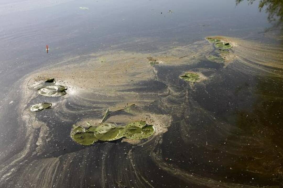 Danės upė paplūdo teršalais 