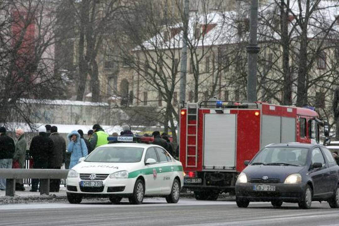 Prie sostinės Žaliojo tilto narai nerado nei skenduolio, nei gyvūnų (papildyta)