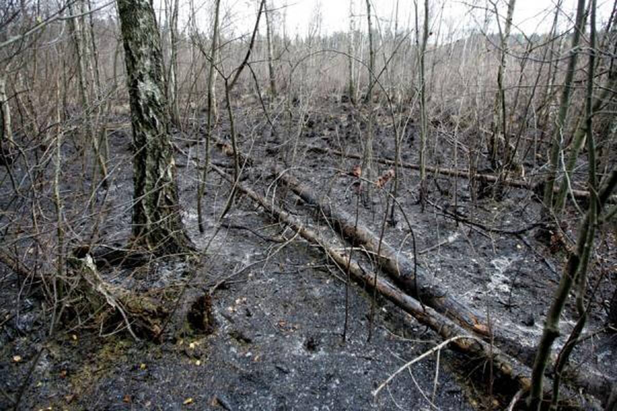 Širvintų r. sprogo dujotiekio vamzdis, kilo didžiulis gaisras (papildyta 14.30 val.)