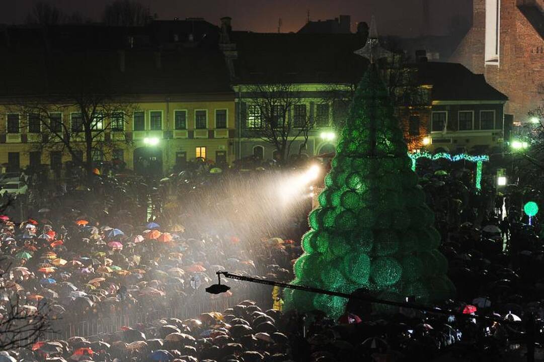 Kaune sužėrėjo smaragdinė Kalėdų eglė   