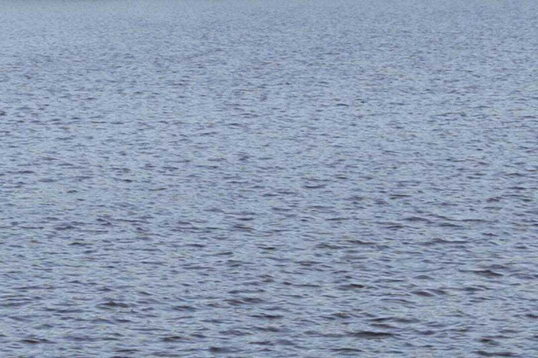 Dovilų tvenkinyje rastas skenduolis su kirstine žaizda kaktoje