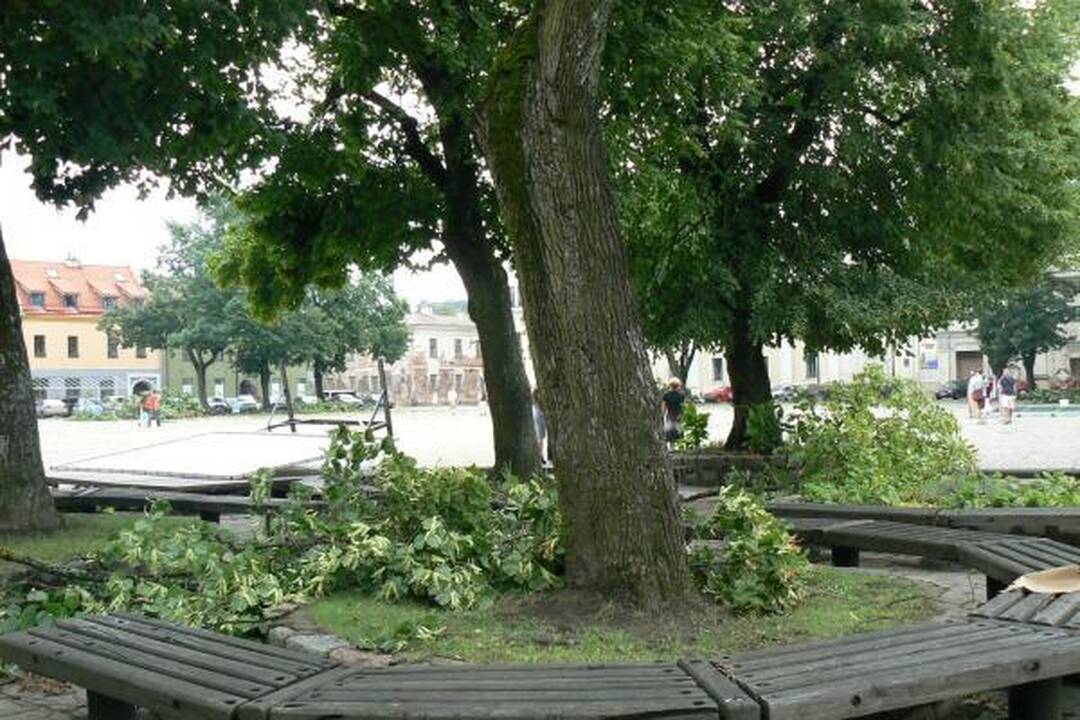 Škvalas Kauno rajone nuniokojo miškus