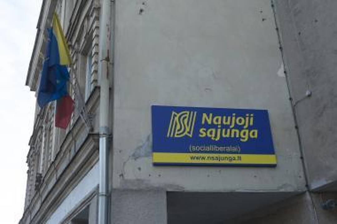 Naujoji sąjunga nekandidatuos EP rinkimuose