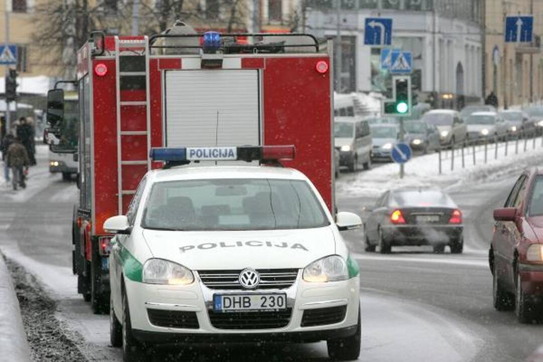 Prie sostinės Žaliojo tilto narai nerado nei skenduolio, nei gyvūnų (papildyta)